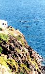 "Localit� Secche di Lazzaro a Ginostra" (Stromboli, ME)