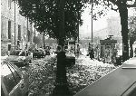 134/134_004.jpg