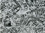 1373/1373_004.jpg