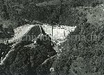 1384/1384_001.jpg