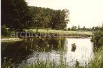 Udine: fiume Ledra