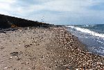 Spiaggia di [Focene]