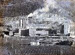 445/445_002.jpg