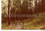 8. Pra' del bosco