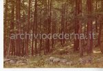 9. Pra' del bosco