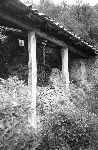 462/462_001.jpg