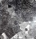 487/487_004.jpg
