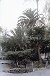 491/491_001.jpg