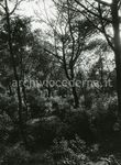 Parco naturale di Rimigliano [LI]