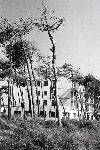 "Il Secco (lungomare) 1964"
