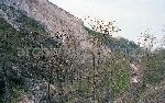 Cava - Parco della Maiella