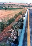 Autostrada Livorno - Civitavecchia