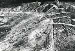 Parco Archeologico di Otricoli (Tr)