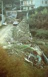Parco dei Camaldoli (Na): "siamo all'interno del parco, quella rete sommersa da detriti � un debole tentativo di stralciare isolando le aree di edificazione abusiva. 2/11/88"