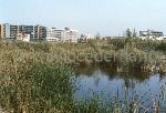 Il Parco Molentargius Saline Poetto