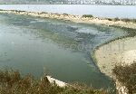 Il Parco Molentargius Saline Poetto