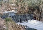 Il Parco Molentargius Saline Poetto: inquinamento