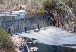 Il Parco Molentargius Saline Poetto: inquinamento