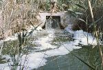 Il Parco Molentargius Saline Poetto: inquinamento