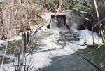 Il Parco Molentargius Saline Poetto: inquinamento