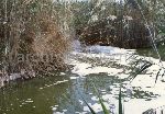 Il Parco Molentargius Saline Poetto: inquinamento