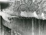 F.12/F.12_001.jpg
