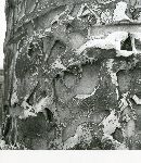 F.12/F.12_004.jpg