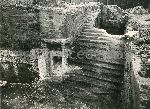 F.13/F.13_009.jpg