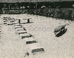 F.16/F.16_005.jpg