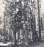 F.20/F.20_012.jpg