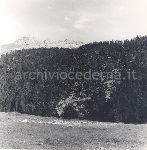 F.20/F.20_015.jpg