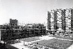 F.21/F.21_021.jpg