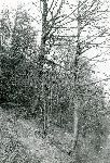 F.31/F.31_002.jpg