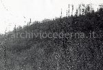 F.31/F.31_003.jpg