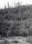 F.31/F.31_005.jpg