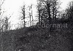 F.31/F.31_007.jpg