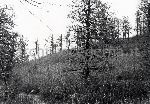 F.31/F.31_008.jpg