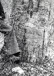 F.31/F.31_010.jpg