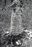 F.31/F.31_013.jpg