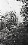 F.34/F.34_N017.jpg