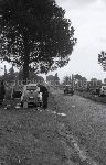 F.34/F.34_N029.jpg