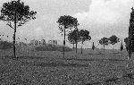 F.34/F.34_N057.jpg