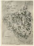 F.36/F.36_010.jpg