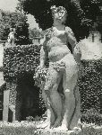 F.37/F.37_002.jpg