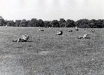F.39/F.39_001.jpg
