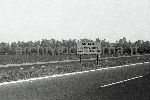 F.49/F.49_N004.jpg