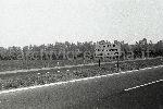 F.49/F.49_N005.jpg