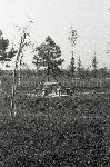 F.49/F.49_N010.jpg