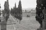 F.49/F.49_N021.jpg