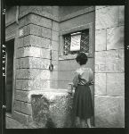 F.51/F.51_N009.jpg